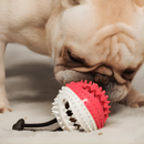 Juguete de Cuerda para Jalar para Perros – PupHappy