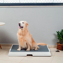 Bañera Inteligente para Mascotas