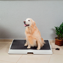 Bañera Inteligente para Mascotas