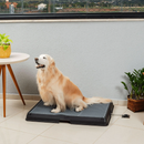 Bañera Inteligente para Mascotas