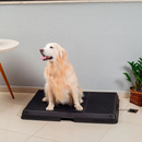Bañera Inteligente para Mascotas