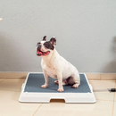 Bañera Inteligente para Mascotas
