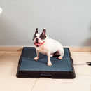 Bañera Inteligente para Mascotas