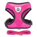Collar Ajustable para Perros y Gatos – StreetPet™