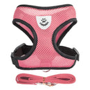 Collar Ajustable para Perros y Gatos – StreetPet™