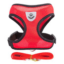 Collar Ajustable para Perros y Gatos – StreetPet™