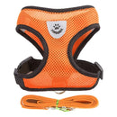 Collar Ajustable para Perros y Gatos – StreetPet™