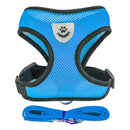 Collar Ajustable para Perros y Gatos – StreetPet™